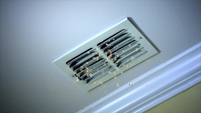 Best Air Duct Cleaning Near Me  in Peridot, AZ